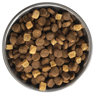 Nutrience SubZero Grain Free Puppy cachorros 10 Kg.