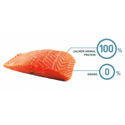 Bravery Grain Free "Salmon Mini Adult" 7 Kg.