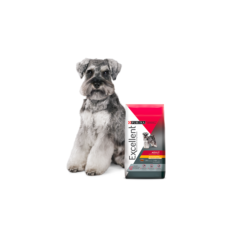 Purina Excellent Adulto Alimento Perros Razas Minis y Pequeñas 3 Kg. Purina Excellent Adulto Alimento Perros Razas Minis y Pequeñas 3 Kg.