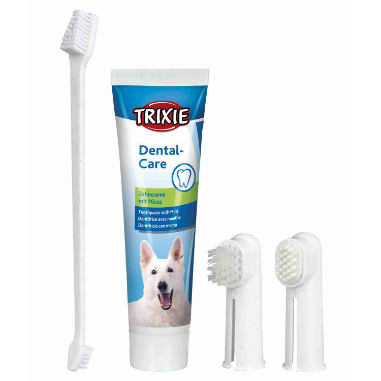 Dental Care Set 3 Cepillos + Pasta de Dientes Perros