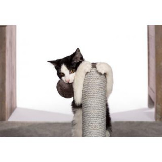 Poste Rascador Gatitos Kitten Play & Scratch