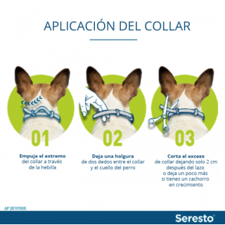 Seresto hasta 8 Kg. Collar Antipulgas 8 meses de protección