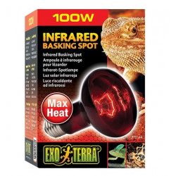 Infrared Basking Spot ExoTerra ampolleta infraroja 50, 75, 100 Watts