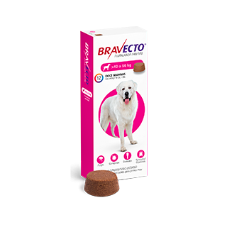 Bravecto Perros 40 - 60 Kg. comprimido pulgas garrapatas